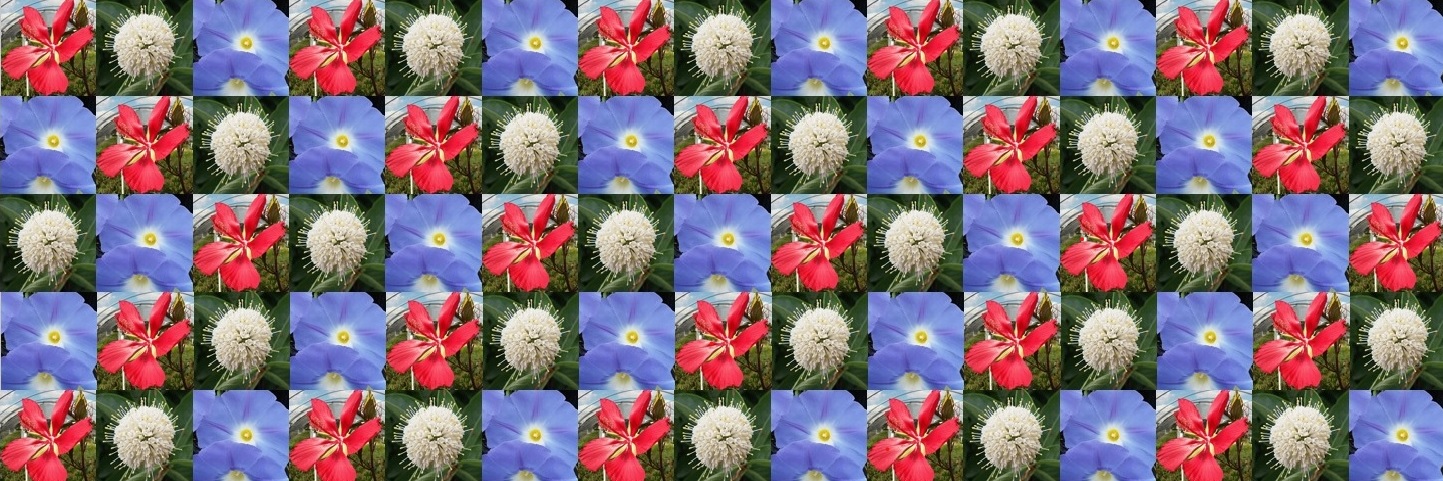 Slide Background